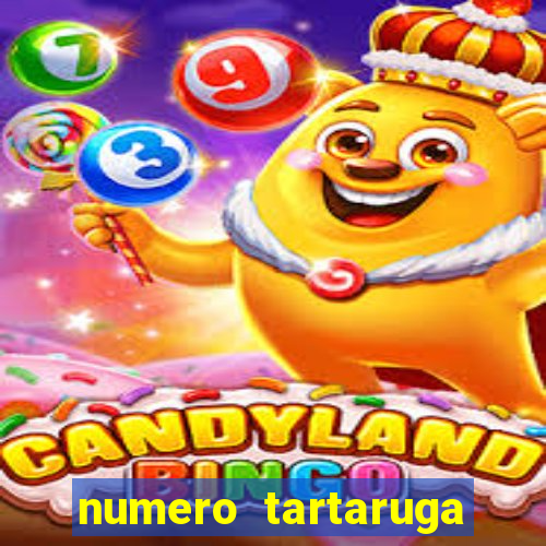 numero tartaruga jogo do bicho